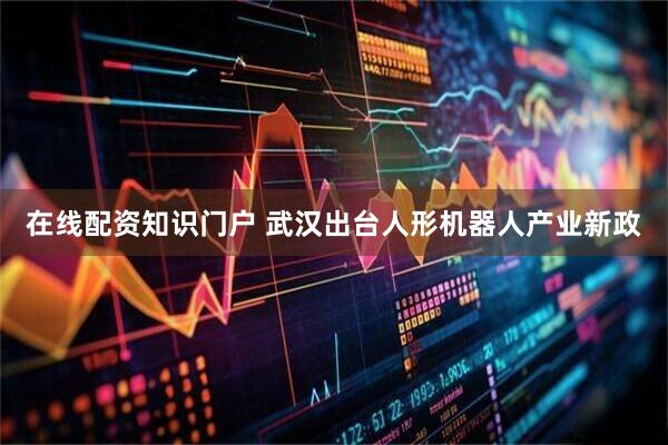 在线配资知识门户 武汉出台人形机器人产业新政